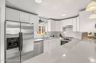 313 W 8th Pl, Carbondale, CO 81623 - Photo 8