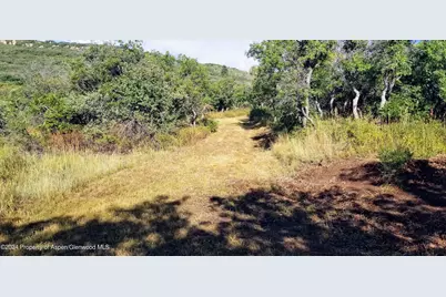 4500 Bear Wallow Lane, Glenwood Springs, CO 81601 - Photo 4