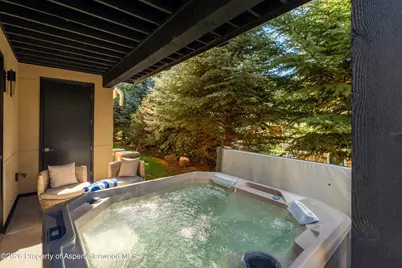 250 Overlook Ridge #250, Basalt, CO 81621 - Photo 22