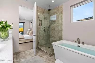 250 Overlook Ridge #250, Basalt, CO 81621 - Photo 14