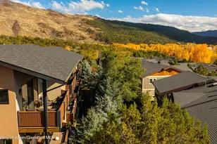 250 Overlook Ridge, Basalt, CO 81621 - Photo 42