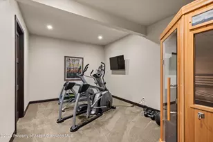 1711 Co Rd 109, Glenwood Springs, CO 81601 - Photo 34