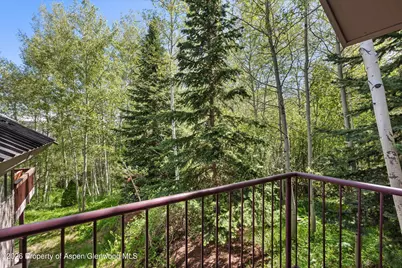 38 Valley View Road, Snowmass Village, CO 81615 - Photo 14