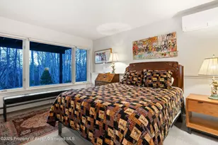 38 Valley View Rd, Snowmass Village, CO 81615 - Photo 54