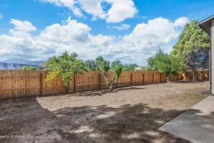 1433 Jays Ave, Rifle, CO 81650 - Photo 28