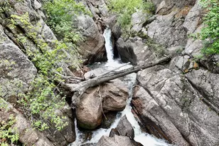 2602 Hidden Valley Rd, Sedalia, CO 80135 - Photo 10