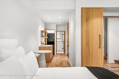 830 E Durant Avenue, Aspen, CO 81611 - Photo 22