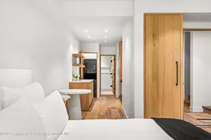 830 E Durant Ave, Aspen, CO 81611 - Photo 22