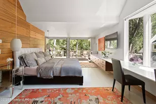 1022 E Hyman Ave, Aspen, CO 81611 - Photo 8