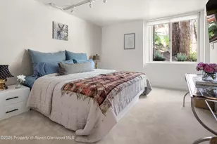 1022 E Hyman Ave, Aspen, CO 81611 - Photo 16