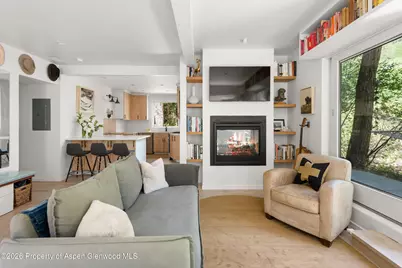 1022 E Hyman Avenue #1 & 2, Aspen, CO 81611 - Photo 14