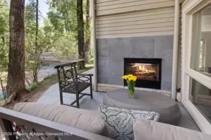 1022 E Hyman Ave, Aspen, CO 81611 - Photo 22