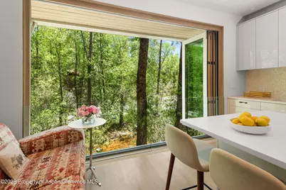 1022 E Hyman Avenue #1 & 2, Aspen, CO 81611 - Photo 4