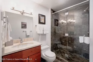 100 Mountain Laurel Ct, Aspen, CO 81611 - Photo 16