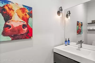 30 Sopris Lane, Carbondale, CO 81623 - Photo 38