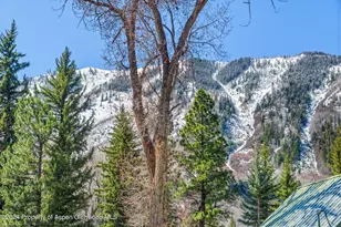 113 W State St, Marble, CO 81623 - Photo 38