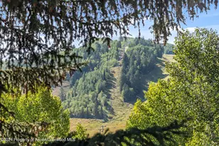 124 E Durant Ave, Aspen, CO 81611 - Photo 16