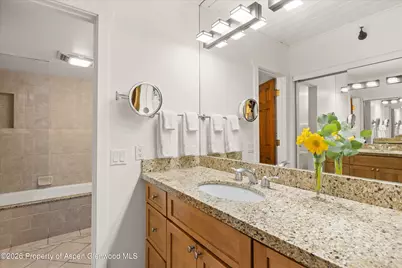 360 Wood Road #209, Snowmass Village, CO 81615 - Photo 10