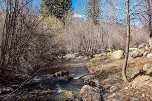 6773 Co Rd 117, Glenwood Springs, CO 81601 - Photo 4