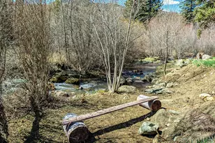 6773 Co Rd 117, Glenwood Springs, CO 81601 - Photo 6