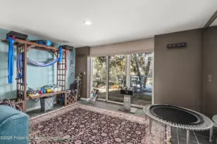 255 Little Pinon, Basalt, CO 81621 - Photo 46