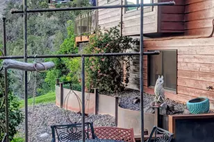 255 Little Pinon, Basalt, CO 81621 - Photo 10