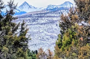 255 Little Pinon, Basalt, CO 81621 - Photo 62