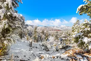 255 Little Pinon, Basalt, CO 81621 - Photo 78