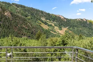 552 Mountain Laurel Dr, Aspen, CO 81611 - Photo 50