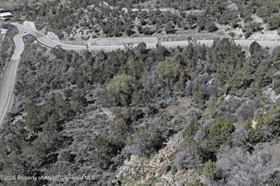 58450 Buzzard Creek Road, Collbran, CO 81624 - Photo 6