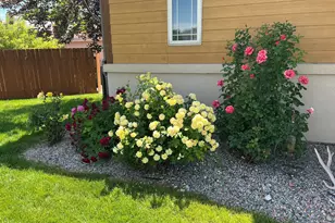 1357 W Spruce Ct, Rifle, CO 81650 - Photo 4