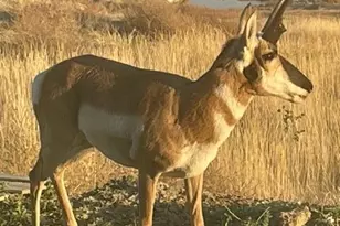 4724 Co Rd 30, Craig, CO 81625 - Photo 56