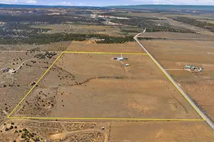 2090 S 15 1/2 Rd, Glade Park, CO 81523 - Photo 6