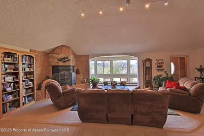 53916 Kk Road, Molina, CO 81646 - Photo 8