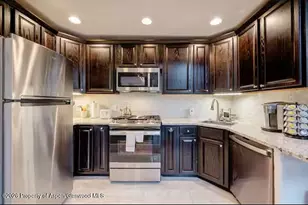 107 Aspen Mountain Rd, Aspen, CO 81611 - Photo 4