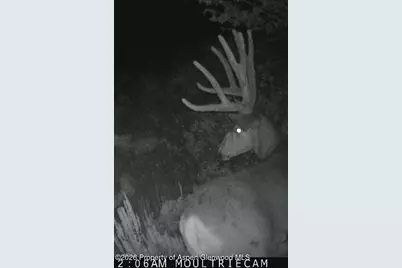 910 Slater Way Road Road, Craig, CO 81625 - Photo 26