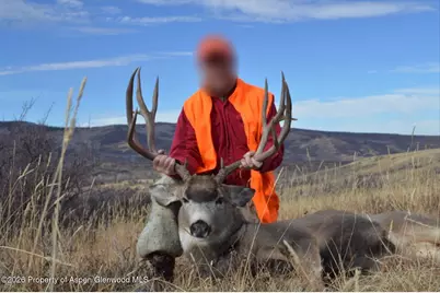 910 Slater Way Road Road, Craig, CO 81625 - Photo 2