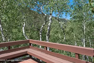 246 Roaring Fork Dr, Aspen, CO 81611 - Photo 14
