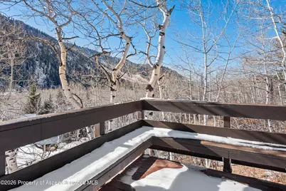 246 Roaring Fork Drive, Aspen, CO 81611 - Photo 14