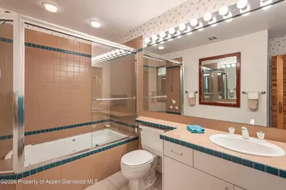 246 Roaring Fork Drive, Aspen, CO 81611 - Photo 28