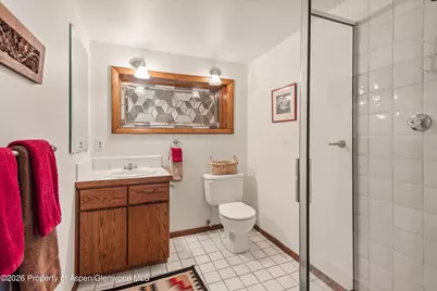 246 Roaring Fork Drive, Aspen, CO 81611 - Photo 24