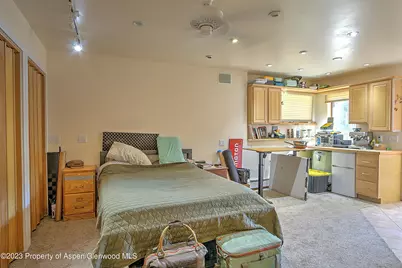 908 Red Mountain Drive, Glenwood Springs, CO 81601 - Photo 38