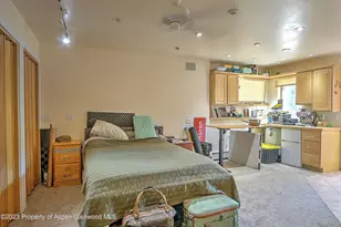 908 Red Mountain Dr, Glenwood Springs, CO 81601 - Photo 38