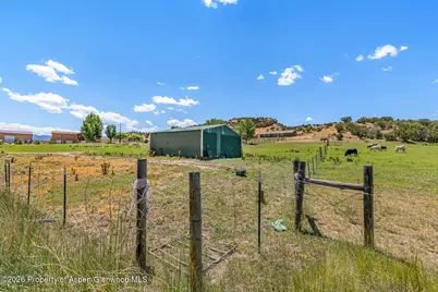 2880 County Road 233, Rifle, CO 81650 - Photo 40
