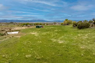 2880 Co Rd 233, Rifle, CO 81650 - Photo 34