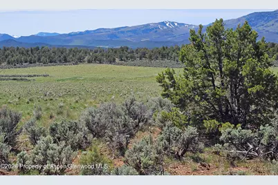 3504 Elk Springs Drive, Glenwood Springs, CO 81601 - Photo 8