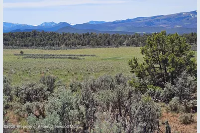 3504 Elk Springs Drive, Glenwood Springs, CO 81601 - Photo 4
