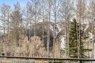 323 E Reds Rd, Aspen, CO 81611 - Photo 8