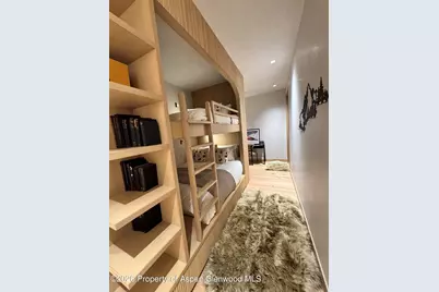 323 E Reds Road, Aspen, CO 81611 - Photo 18