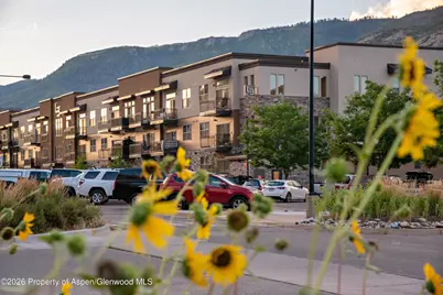 253 Wulfsohn Road #316, Glenwood Springs, CO 81601 - Photo 24